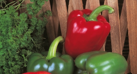 Picture for category Peppers Capsicum