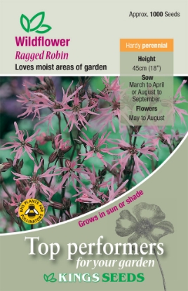 Picture of Wildflower Ragged Robin