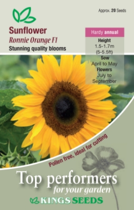 Picture of Sunflower Ronnie Orange F1