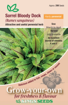 Picture of Sorrel Bloody Dock (Rumex Sanquineus)