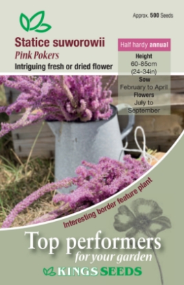 Picture of Statice Pink Pokers