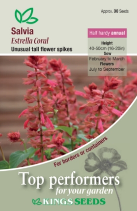 Picture of Salvia Estrella Coral