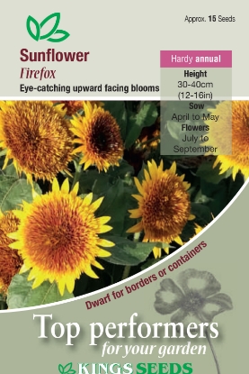 Picture of Sunflower Firefox