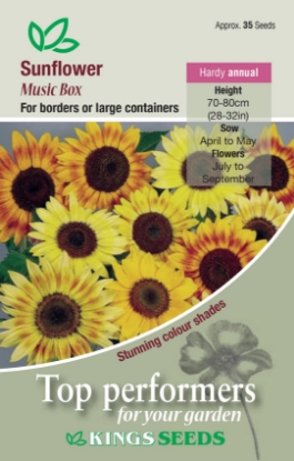 Picture of Sunflower Music Box 