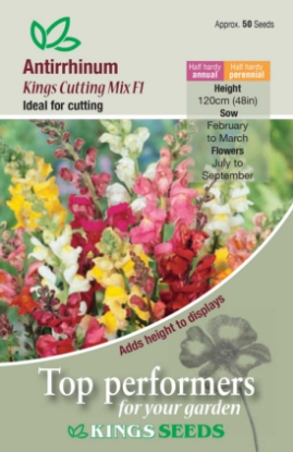 Picture of Antirrhinum Kings Cutting Mix F1