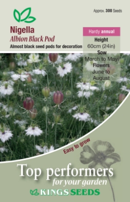 Picture of Nigella Albion Black Pod