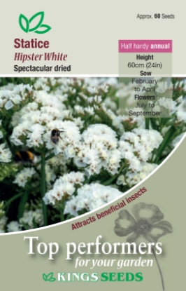 Picture of Statice Hipster White