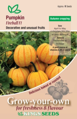 Picture of Pumpkin Fireball F1