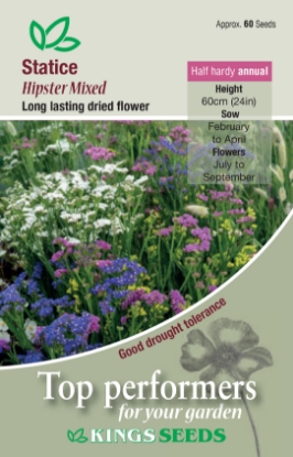 Picture of Statice Hipster Mixed