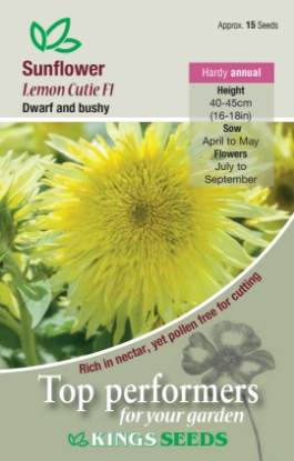 Picture of Sunflower Lemon Cutie F1