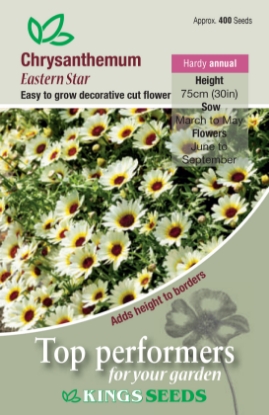Picture of Chrysanthemum Eastern Star