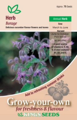 Picture of Herb Borage