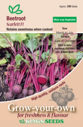 Picture of Beetroot Scarlett F1