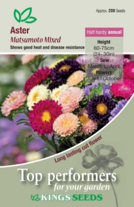 Picture of Aster Matsumoto Mixed