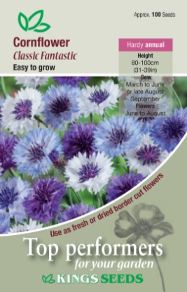 Picture of Cornflower Classic Fantastic