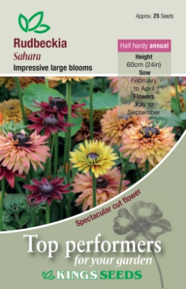 Picture of Rudbeckia Sahara