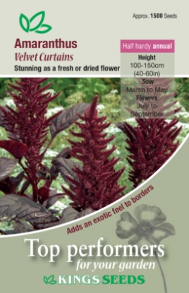 Picture of Amaranthus Velvet Curtains