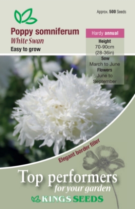 Picture of Poppy Somniferum White Swan